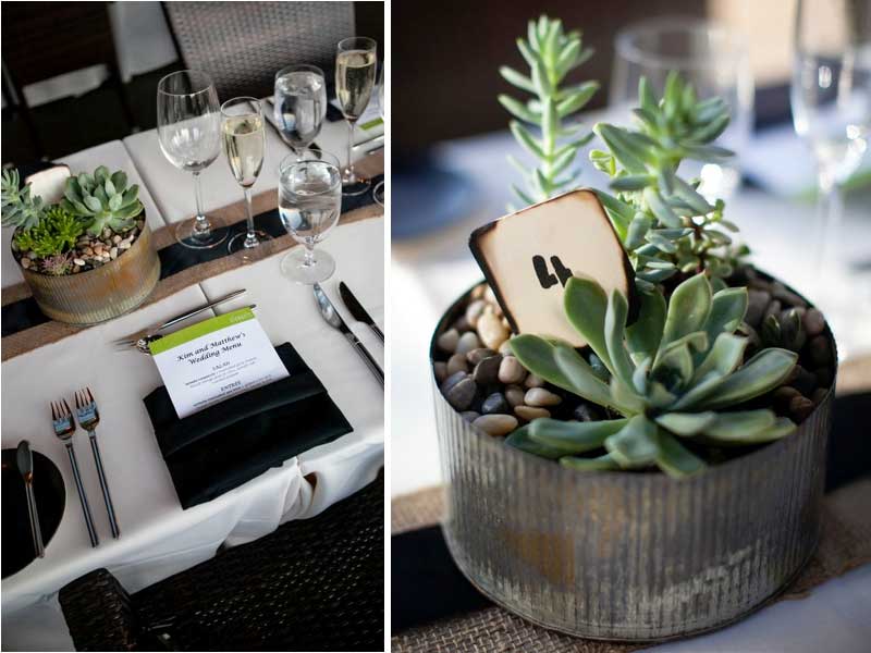 idées decor centre table plante grassse